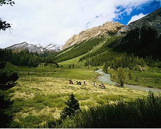 派对手游《元梦之星》预约开启 9月28日删档测试