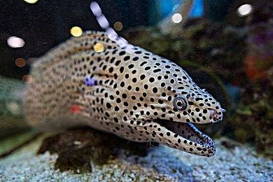 《沉眠墓地》Steam上线 守墓人日常工作模拟