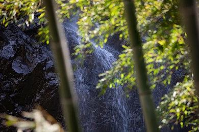 《战锤40K：暗潮》新宣传片 抵御汹涌如潮水的敌人